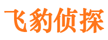 澧县外遇出轨调查取证